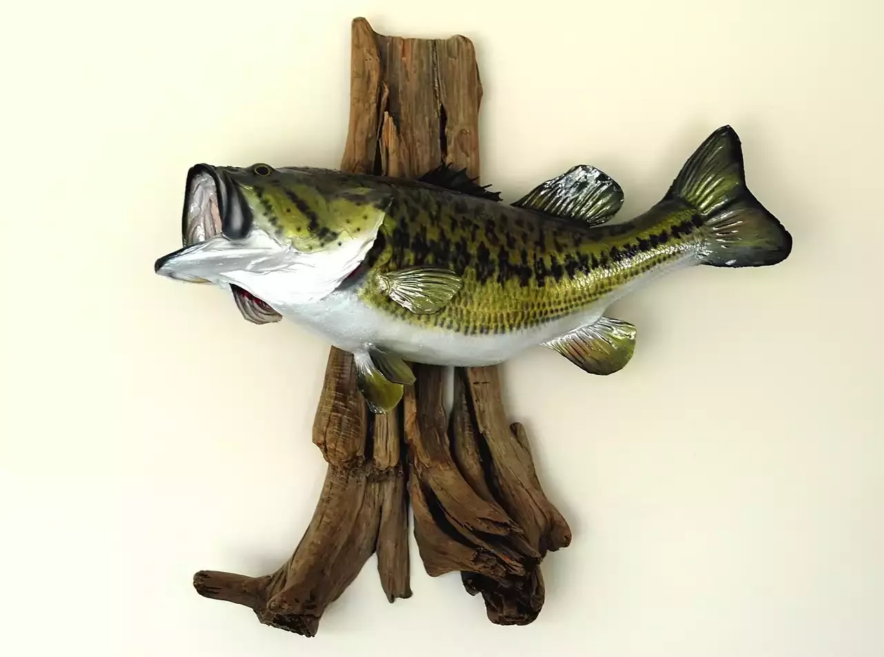 Big Game Fishing is not Only a Rich Mans Hobby